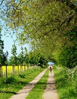Fischland Germany 16